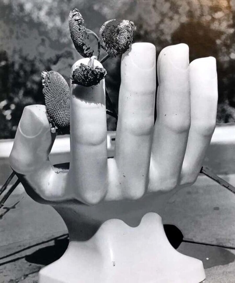 A Hand For Harry