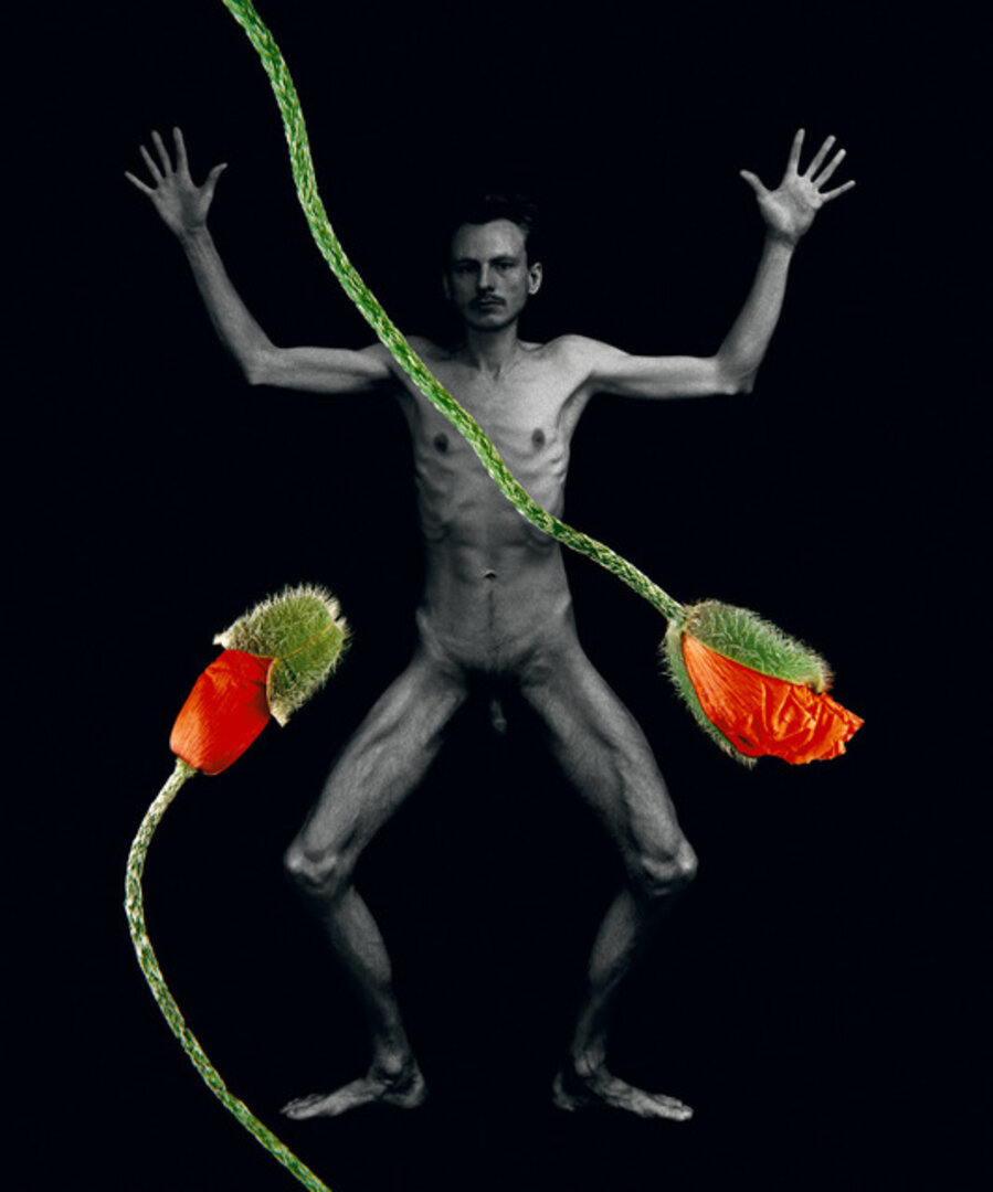 Garden (Libera and Flowers) V