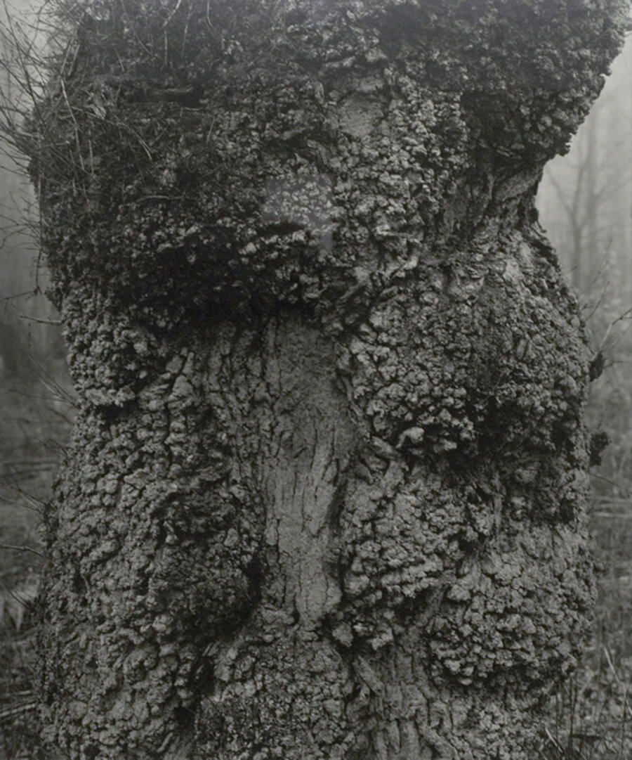 Stjärnarp, Sweden, 1991