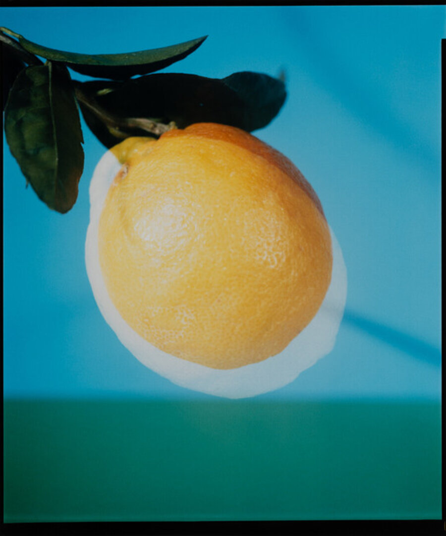 Bitter Orange