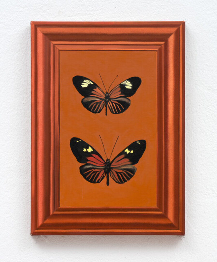 The Butterflies in the Frame