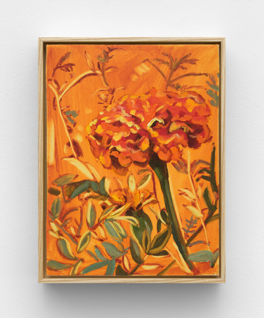 Marigold