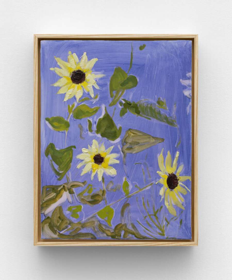 Sunflower (Italian White)