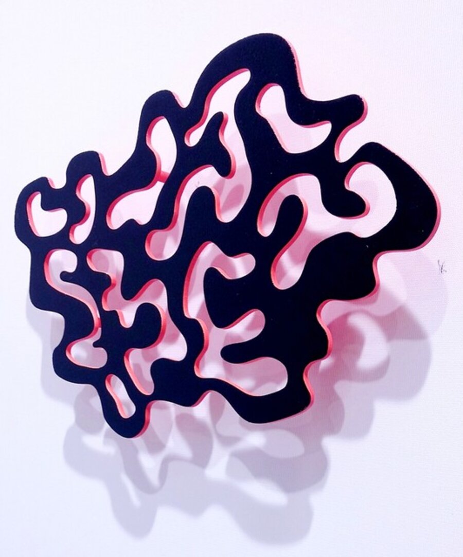 Hidden Mind