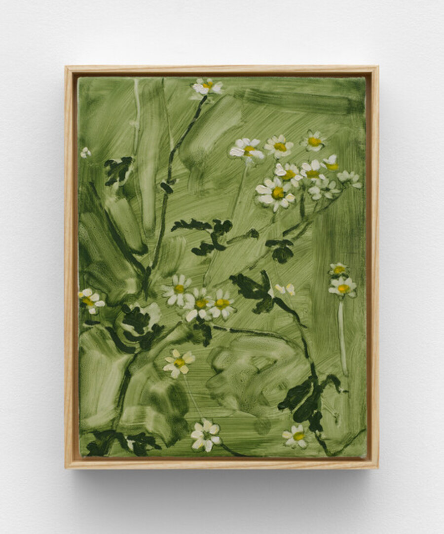 Feverfew