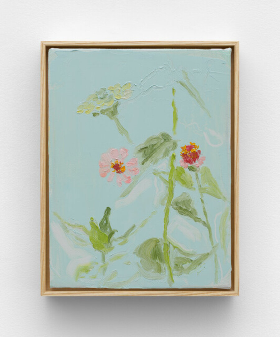 Pastel Zinnia