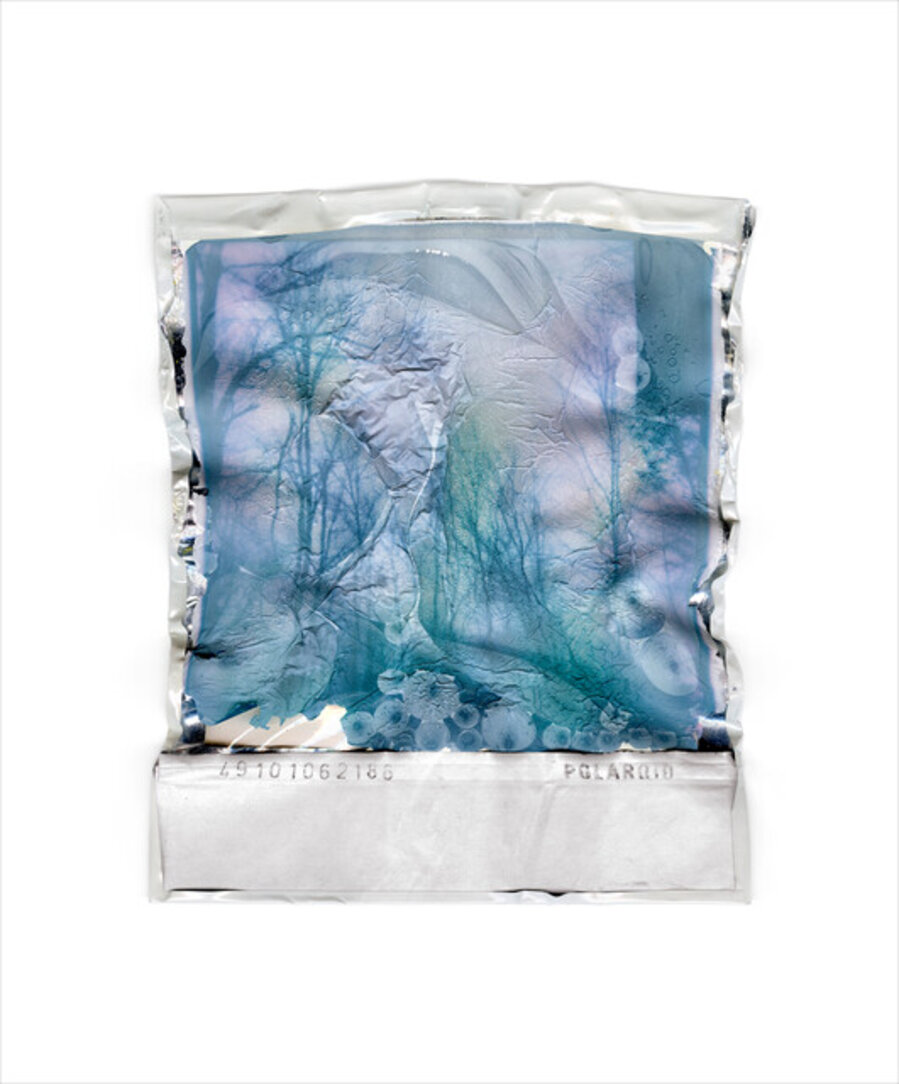 Disappearing Nature #4
