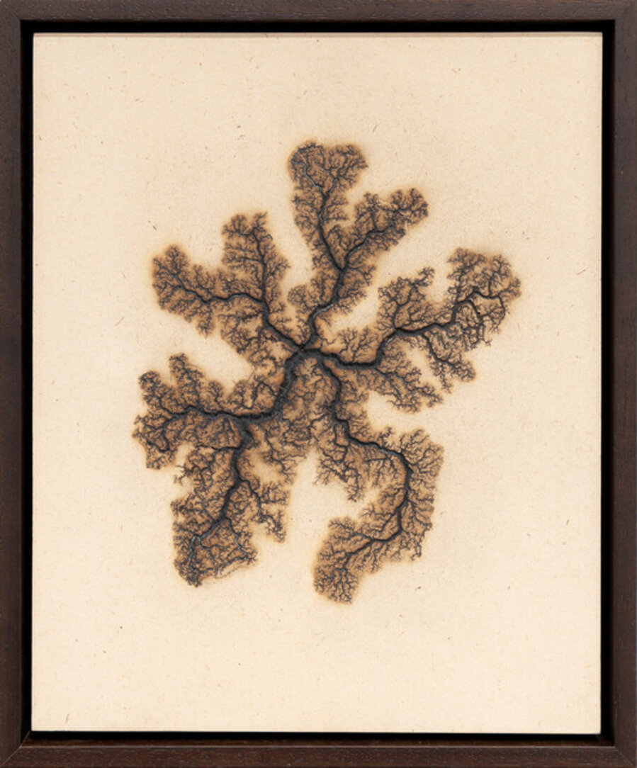 Lichtenberg Drawing 14