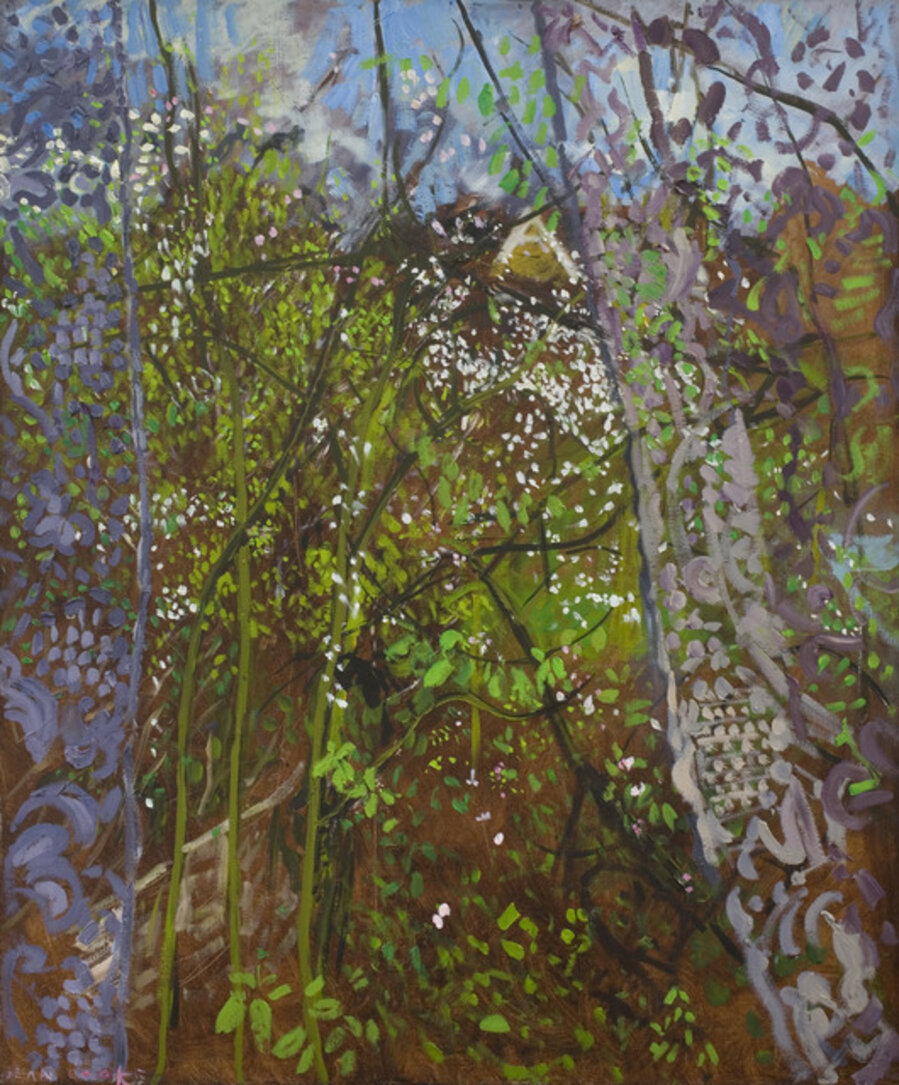 Springtime Through the Window (46)
