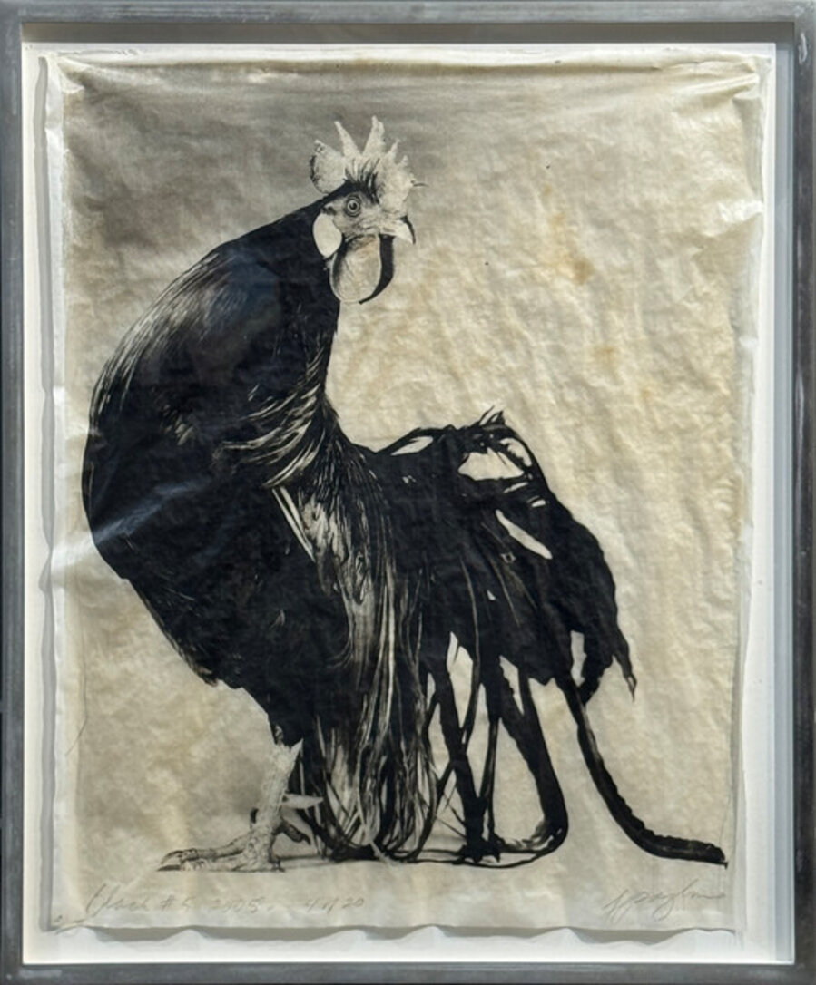 Poultry Suite: Black #5