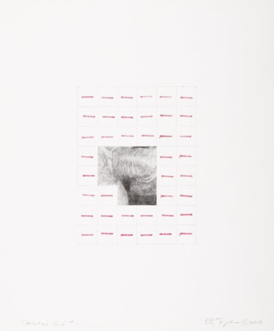 Censored Grid #11