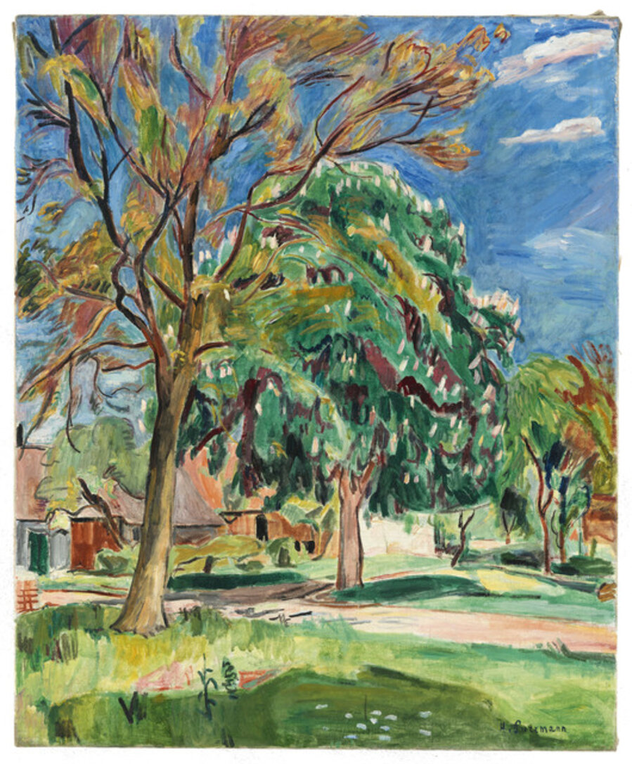 Großer Kastanienbaum in Langenargen