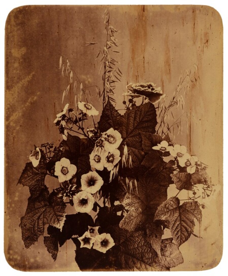 Untitled (Flowers)