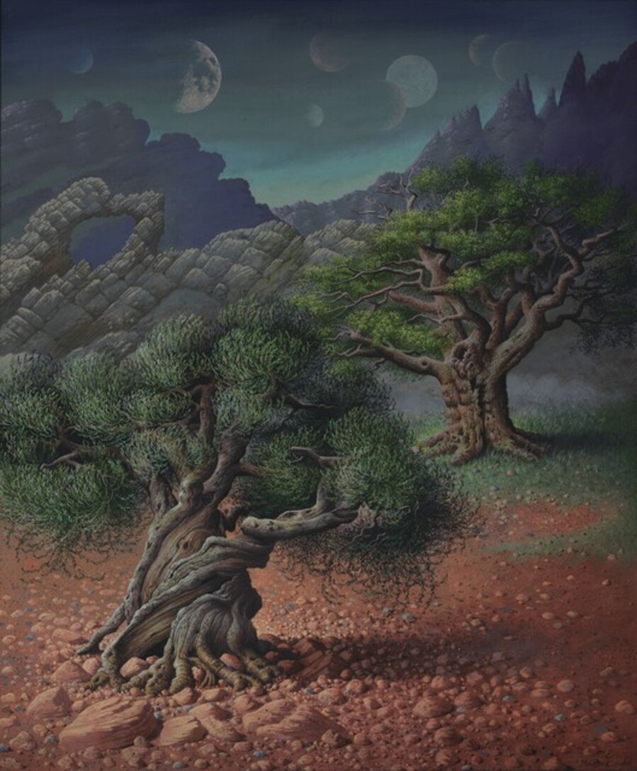 TERRA