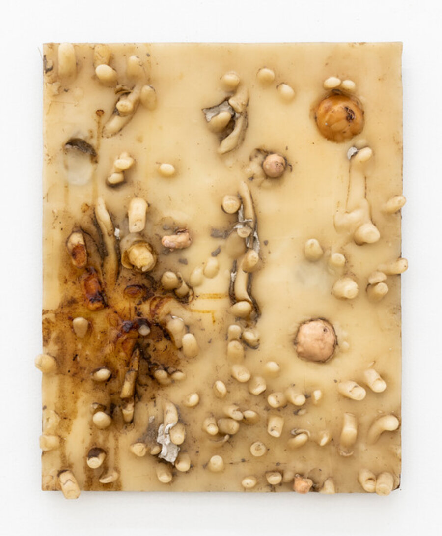 Untitled (P24/92)