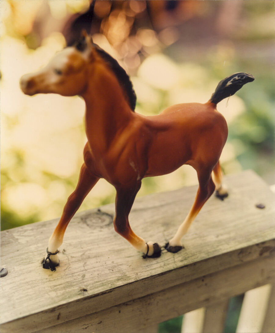 Untitled (horse)