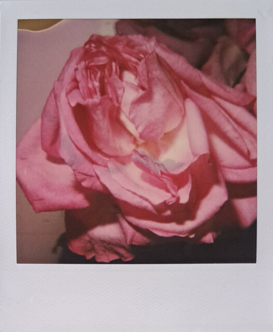Vintage Flower Polaroid