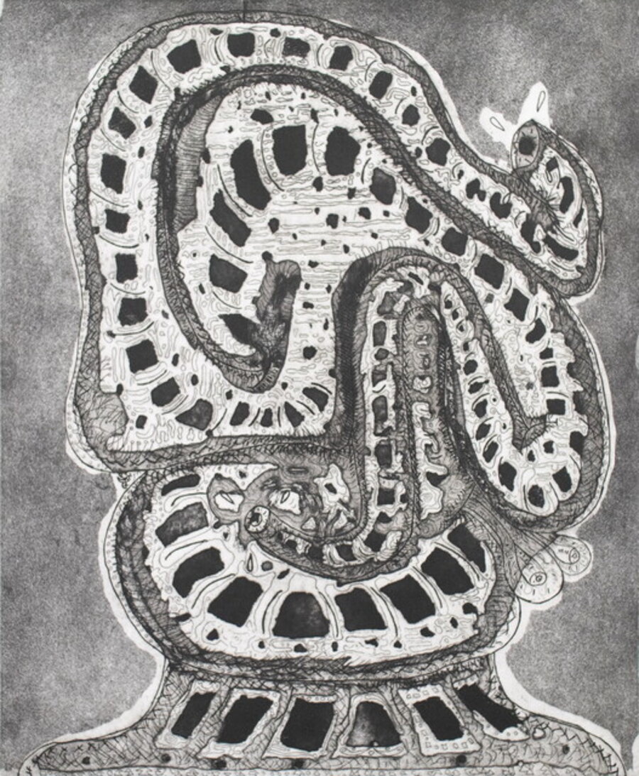 L'entomologo
