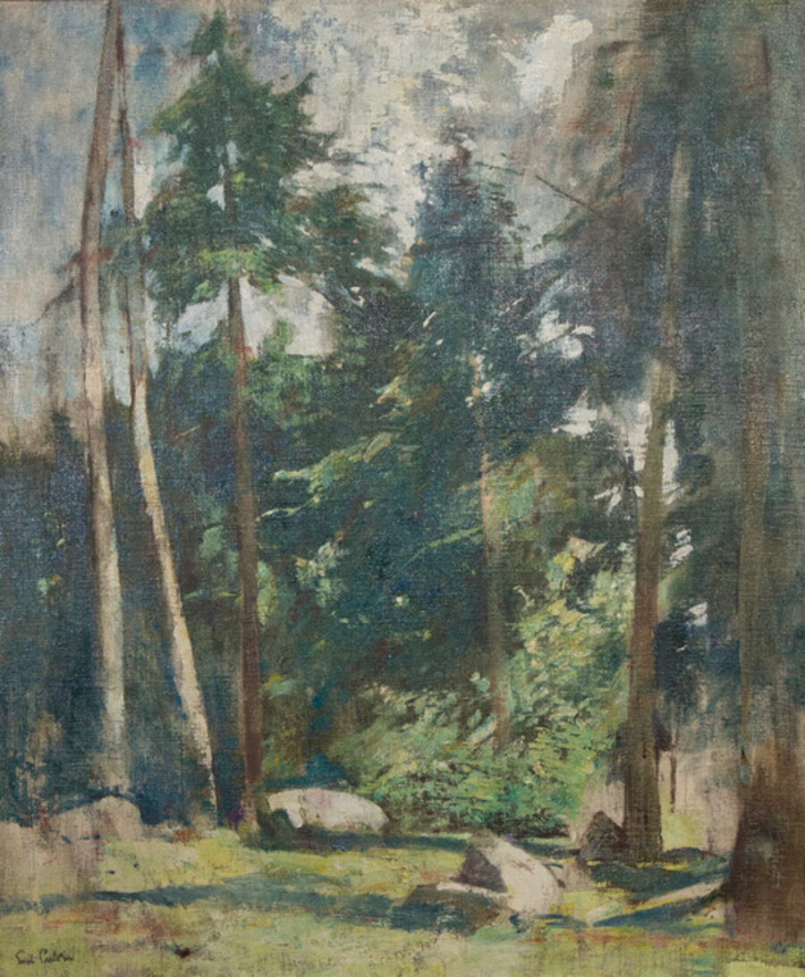 Forest Clearing