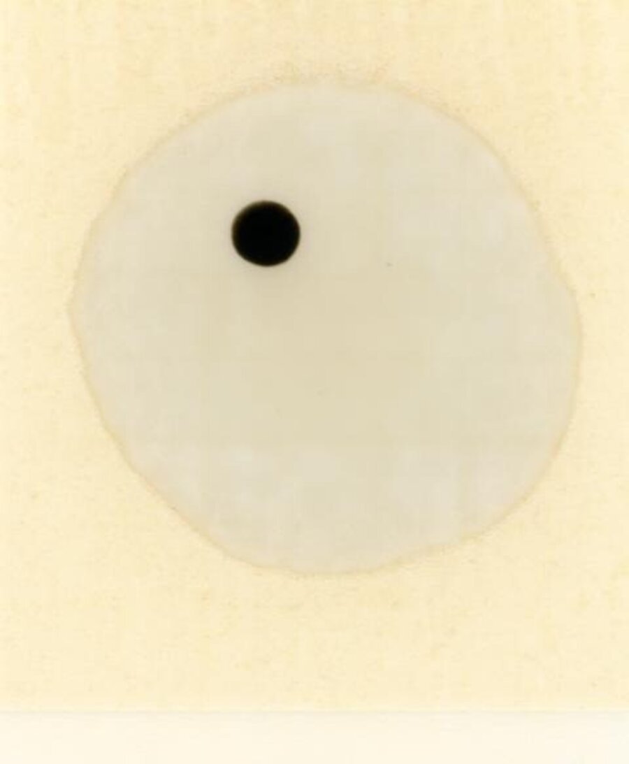 Autoportrait par un autre