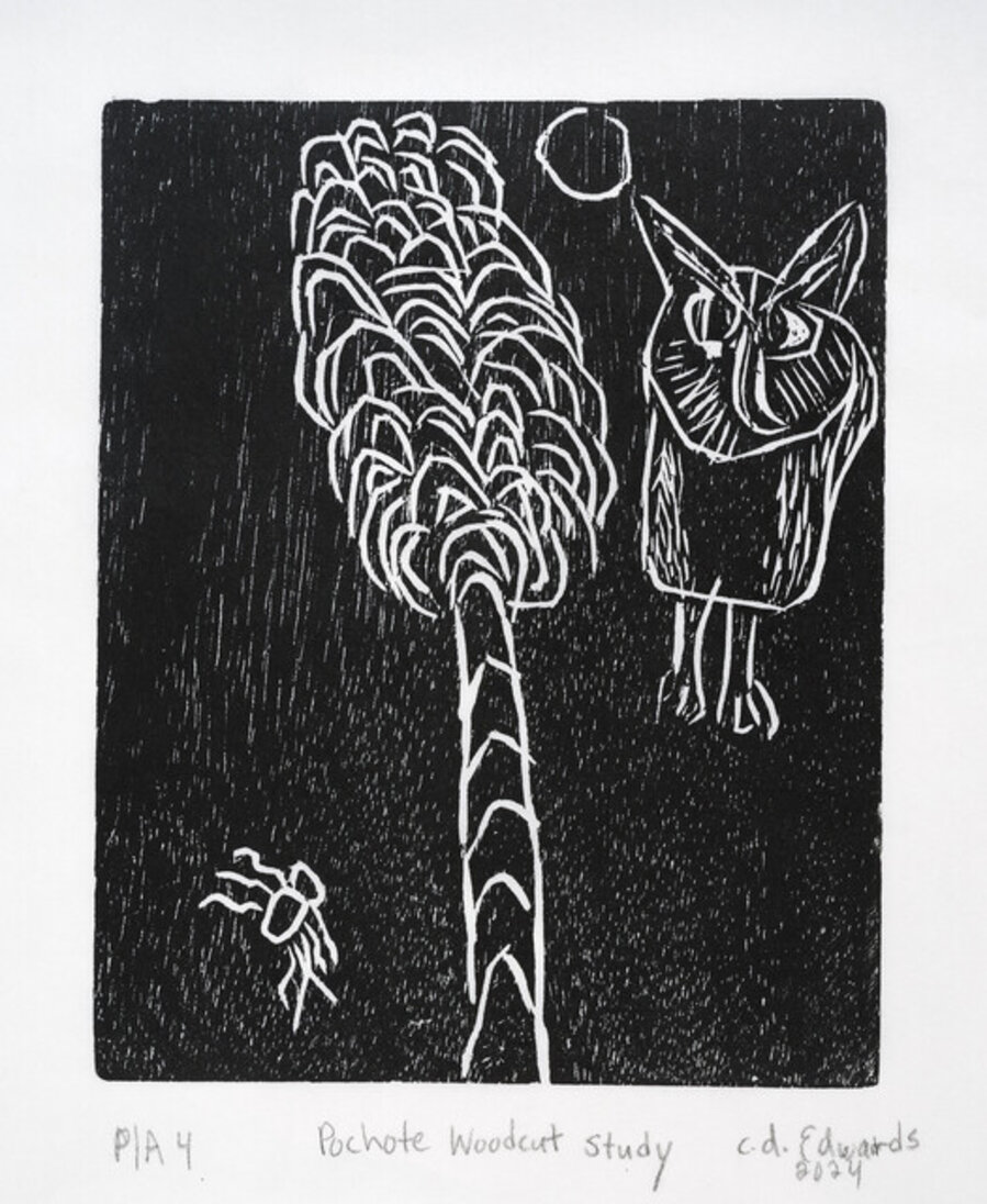 Pochote Wood Cut Study