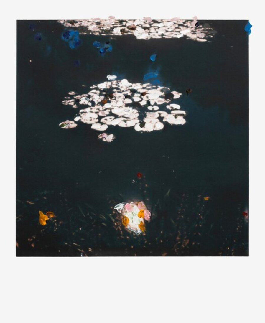 WATER LILIES