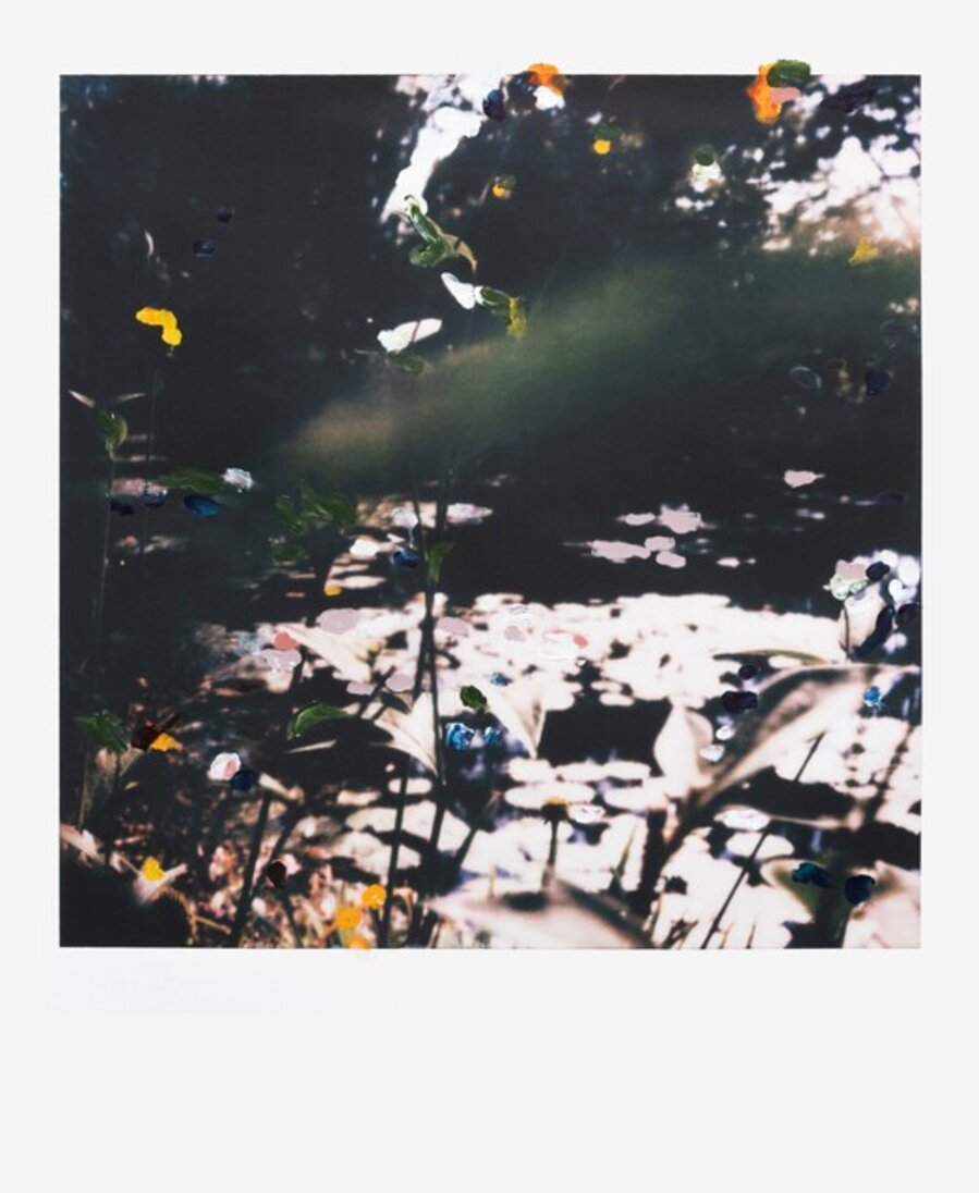 WATER WITH GRASS