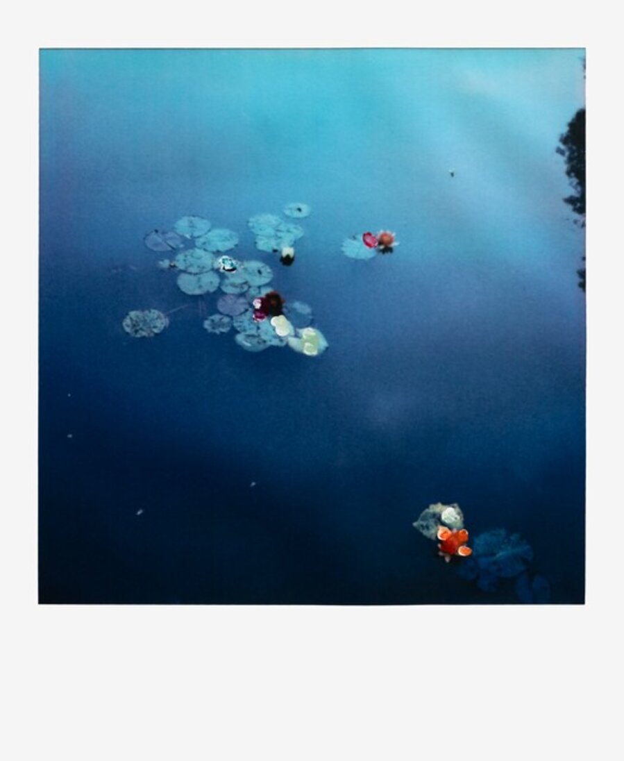 JAPONESE GARDEN I