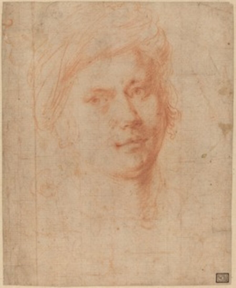 Head of a Youth