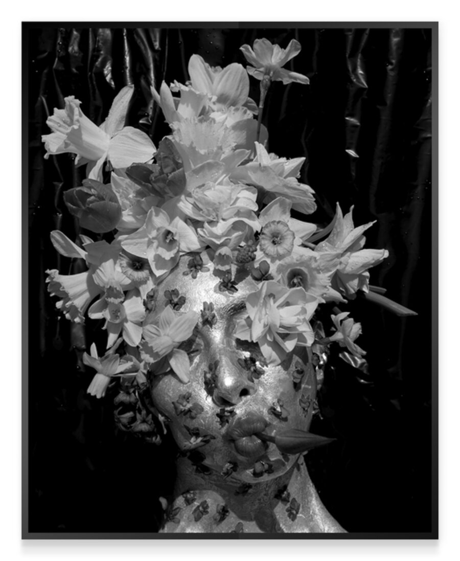 Masking, Daffodil