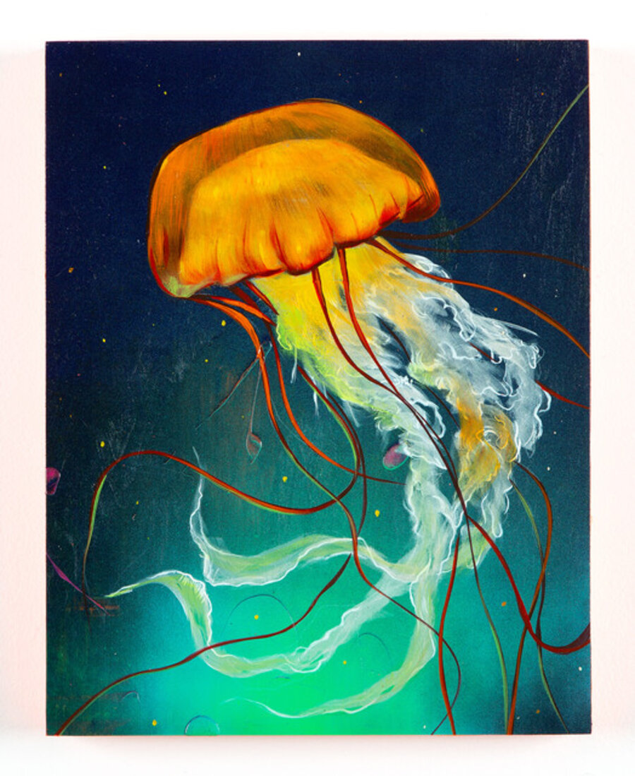 Sea Nettle