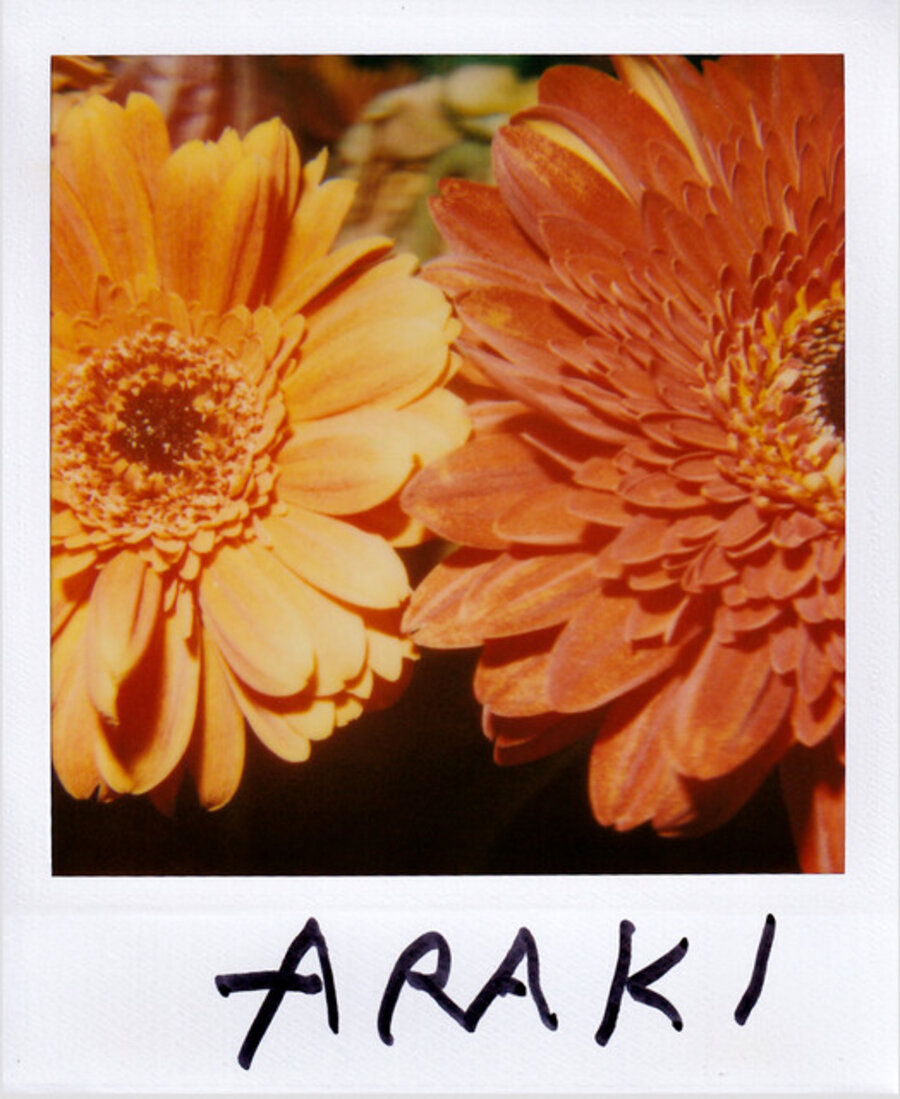 Vintage Flower polaroid