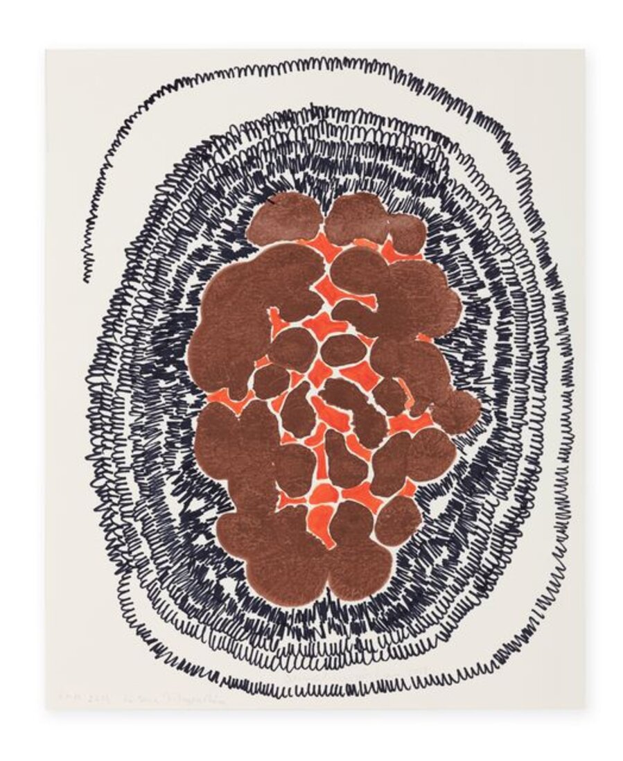 Untitled, from Filogenéticos (Phylogenetics) series