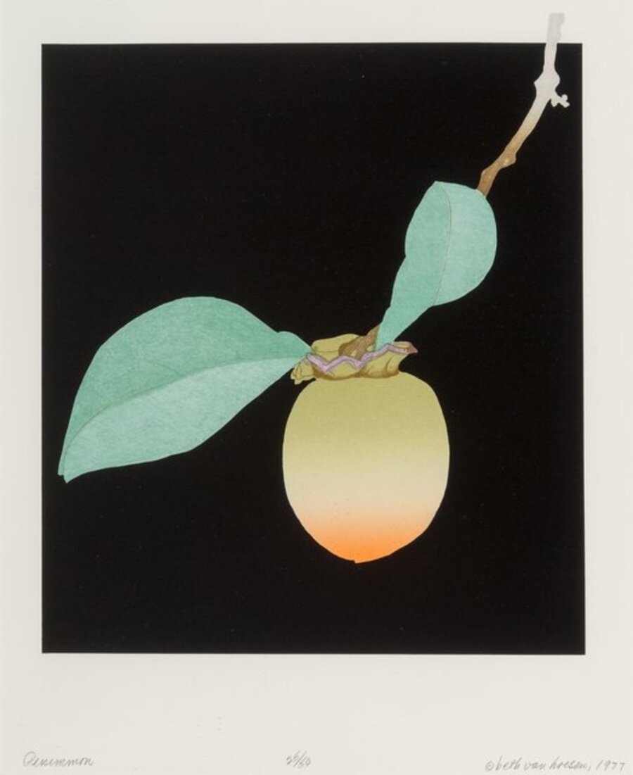 Persimmon