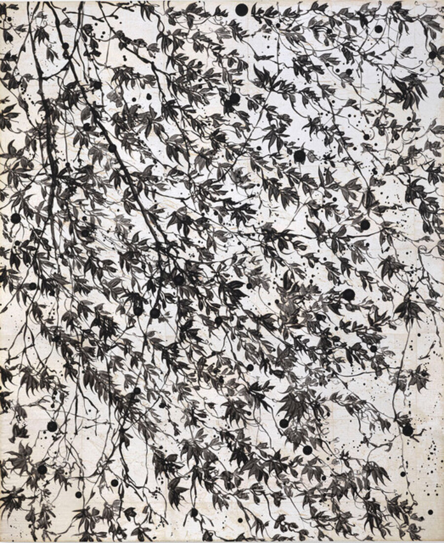 Black Oaks