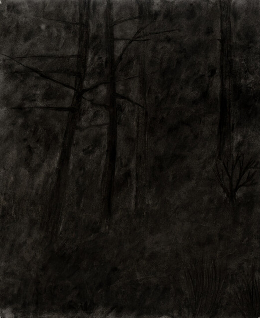 Nocturnal Landscape #14