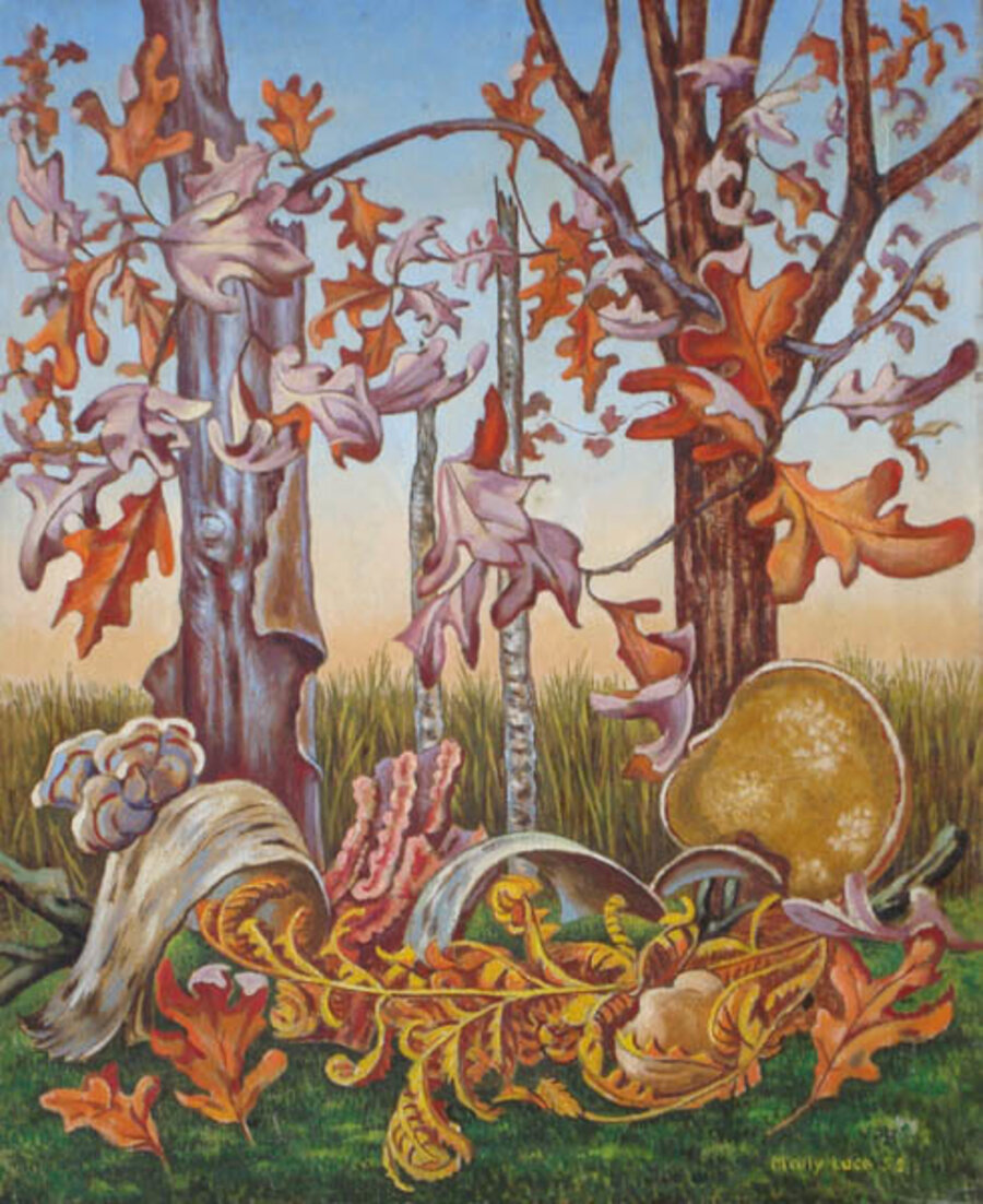 Autumn Foliage
