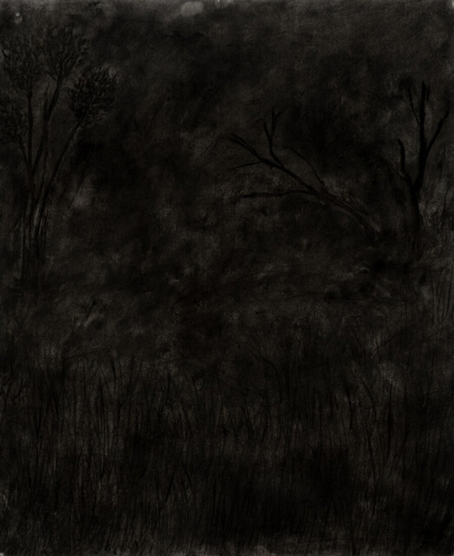 Nocturnal Landscape #13