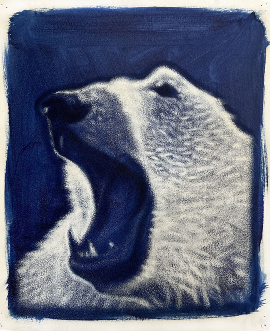 Polar