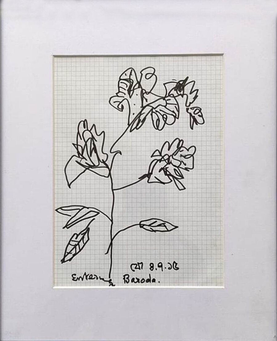 Flora