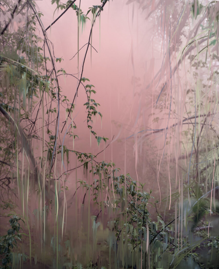 Untitled (Forest 18)