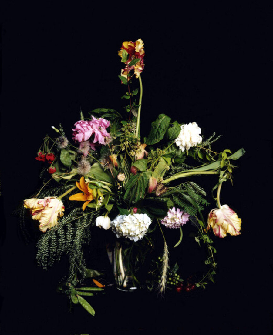 Summer Still Life #1 From the series: Nature Morte