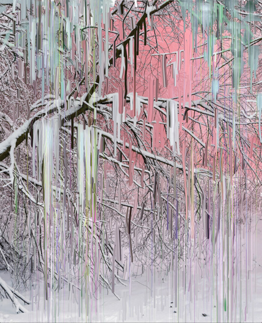 Untitled (Forest 20)