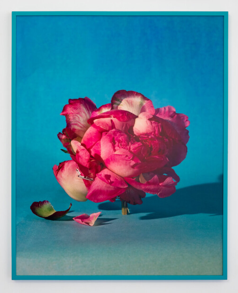 Peony II