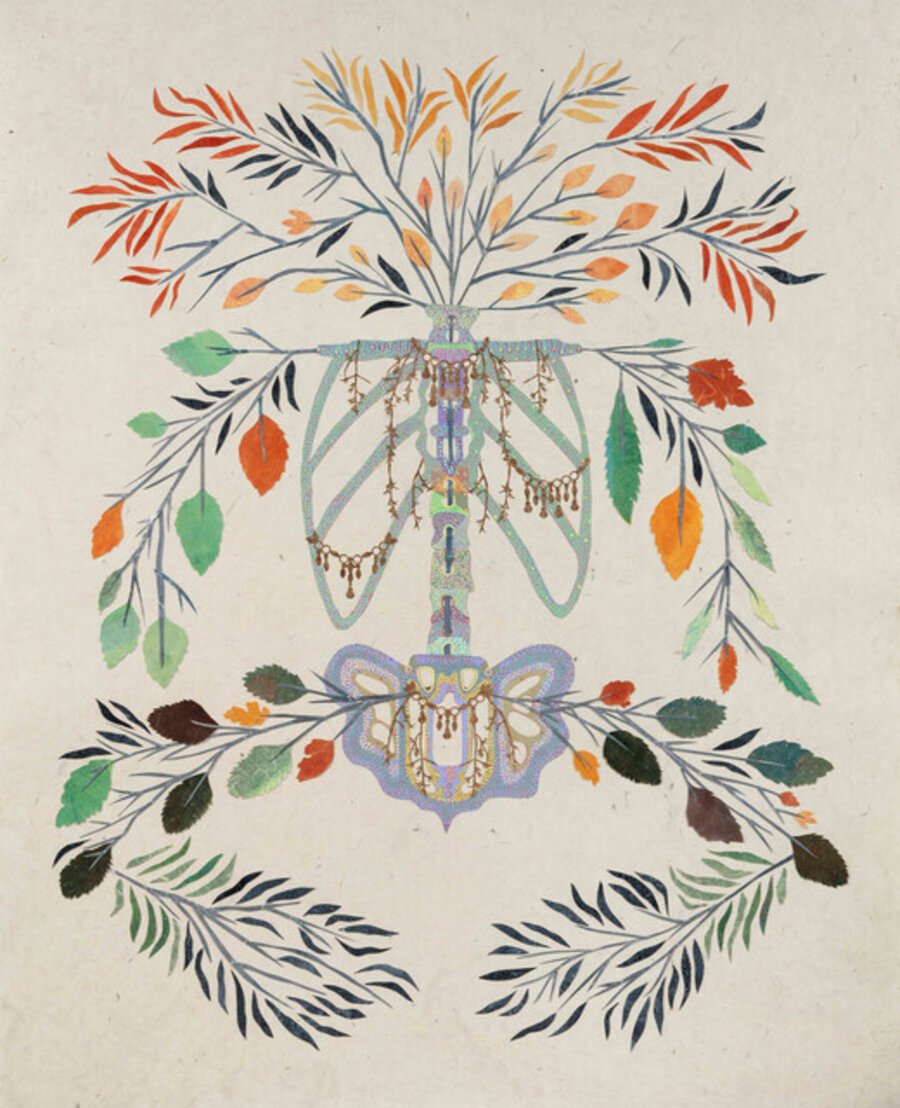 Woods Woman (Ribcage, Spine, Pelvis and Medicinal Plants Easily Obtained in North America)