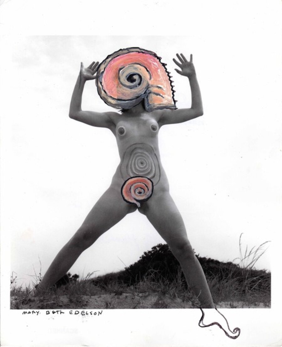 Double Shells (Woman Rising series)
