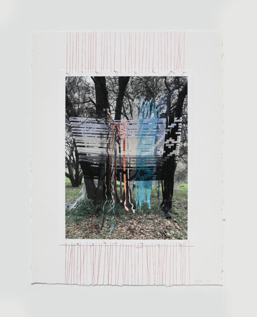 Tree Weaving 10