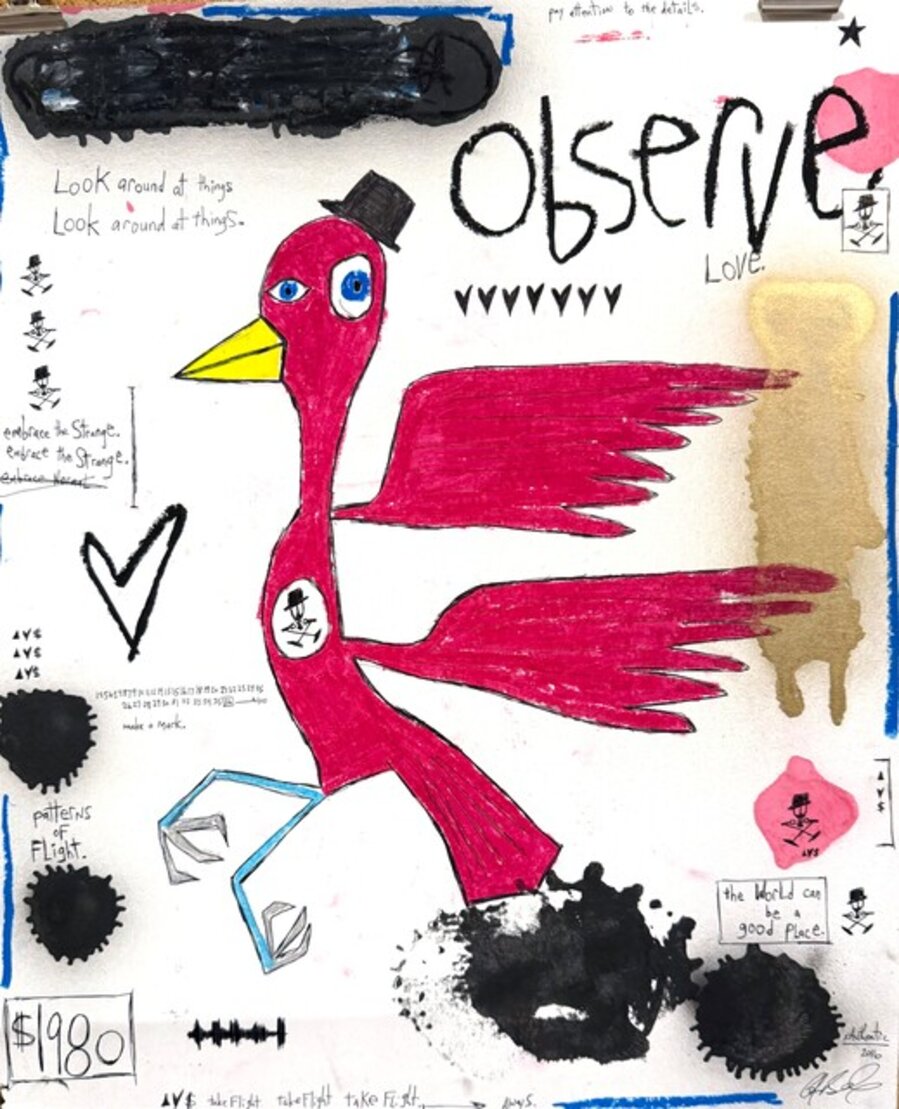 Observe