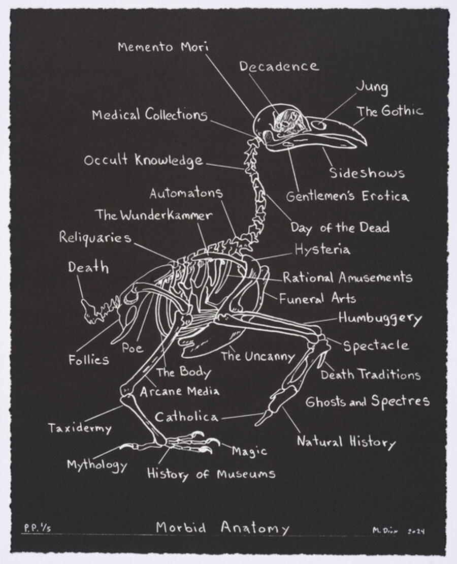 Morbid Anatomy