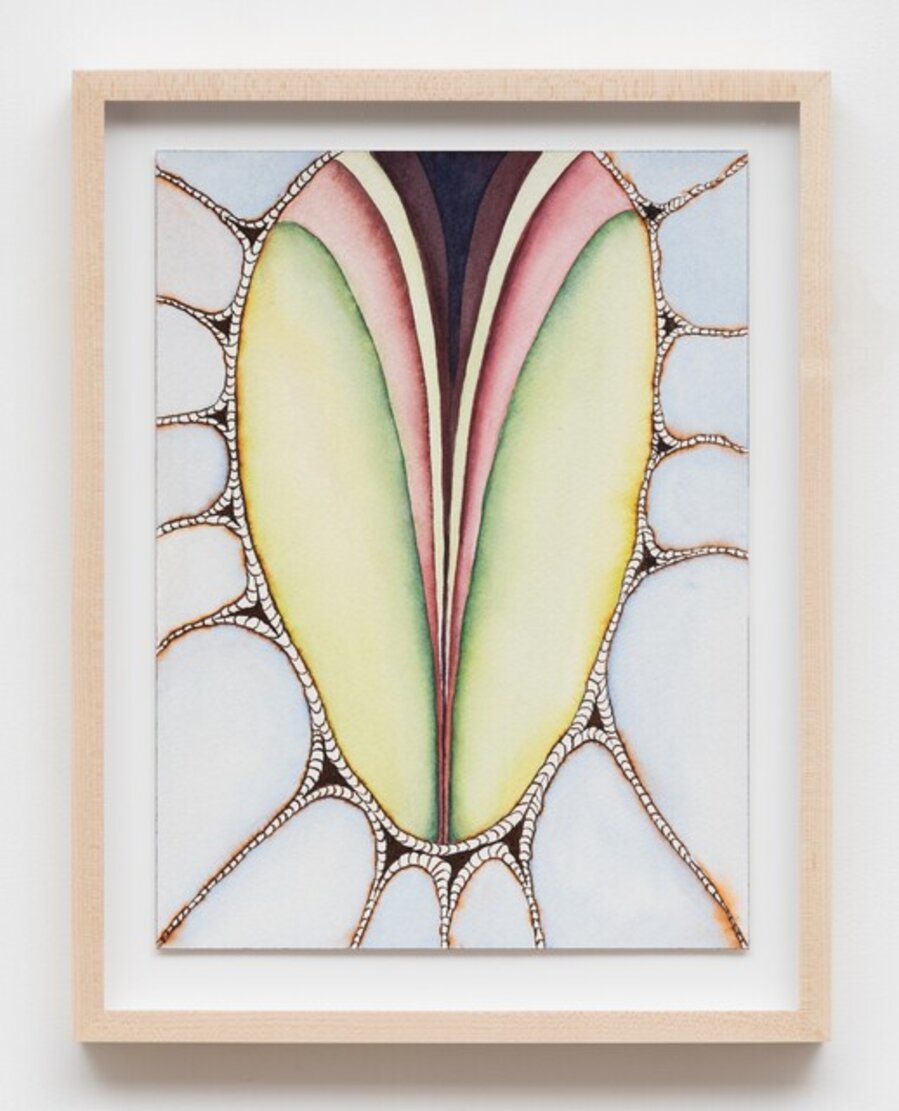The vulva that got away
